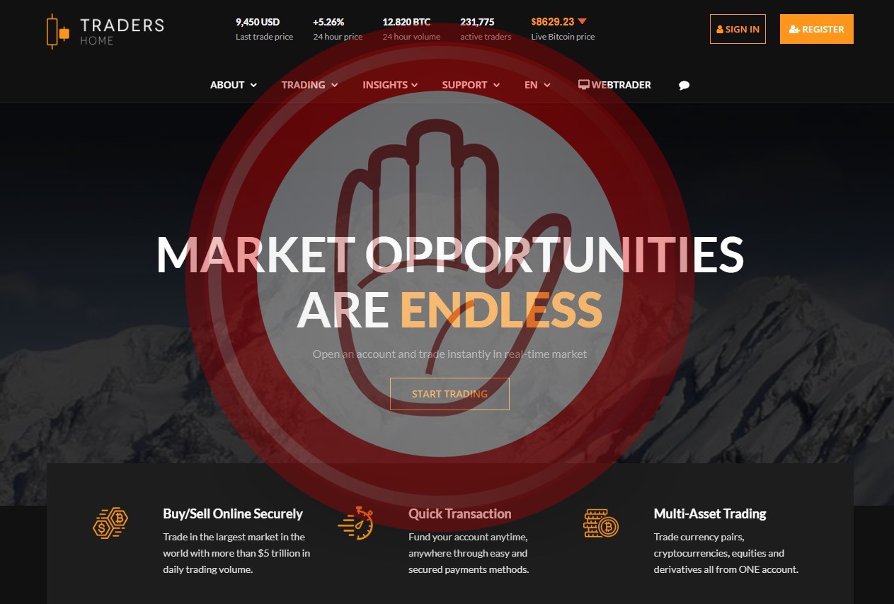 Traders home — слив бюджета гарантирован на Tradershome.com