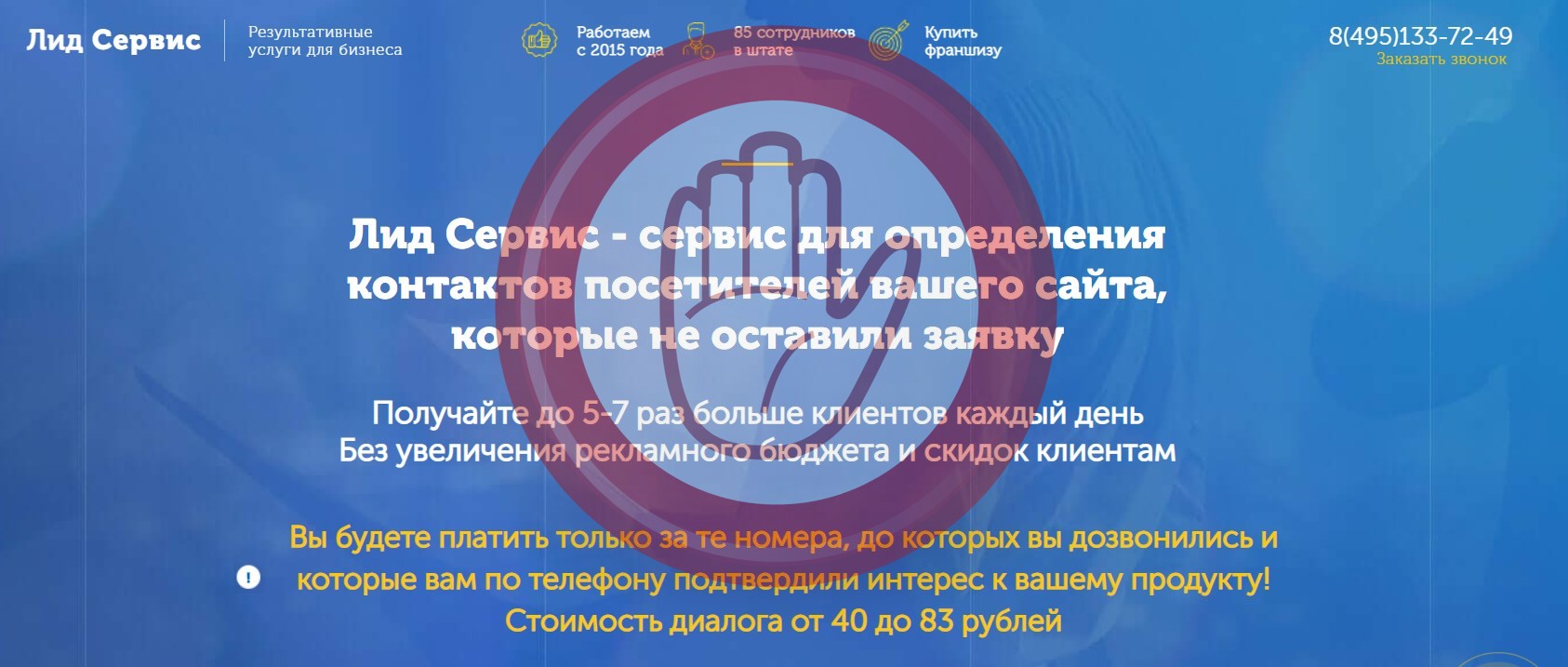 Лид Сервис — обзор франшизы интернет бизнеса и отзывы о ней